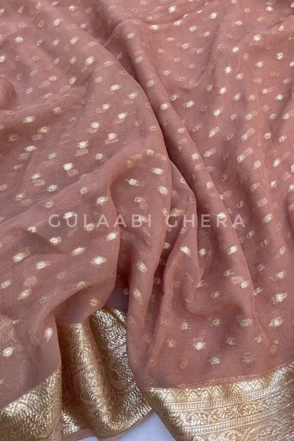 DJI_20260216_130139_467_SnapseedCopy 2 Saumya