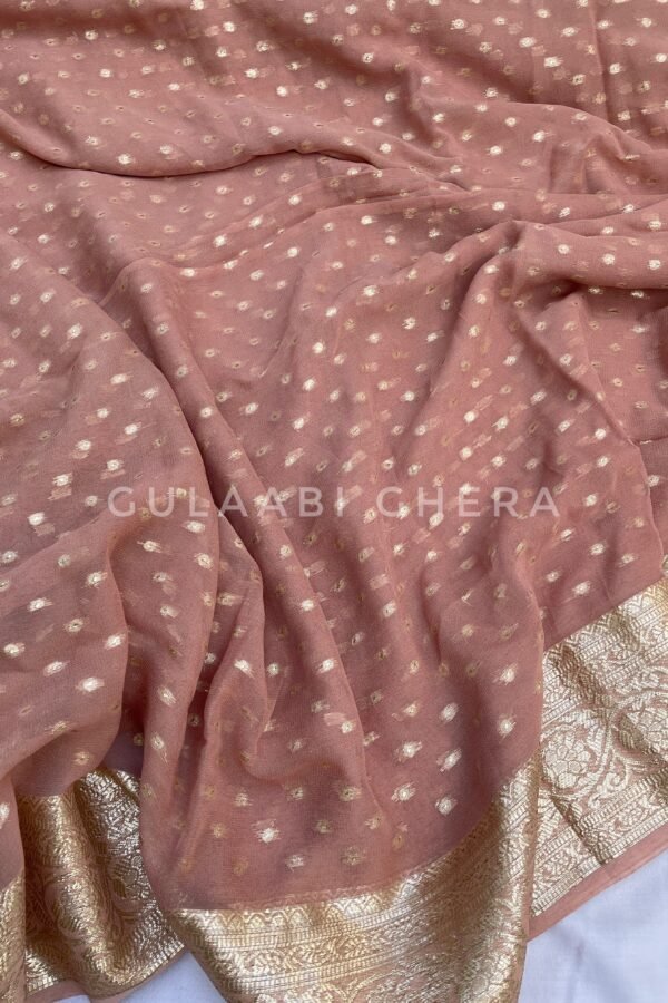 DJI_20260216_130139_467_SnapseedCopy Saumya