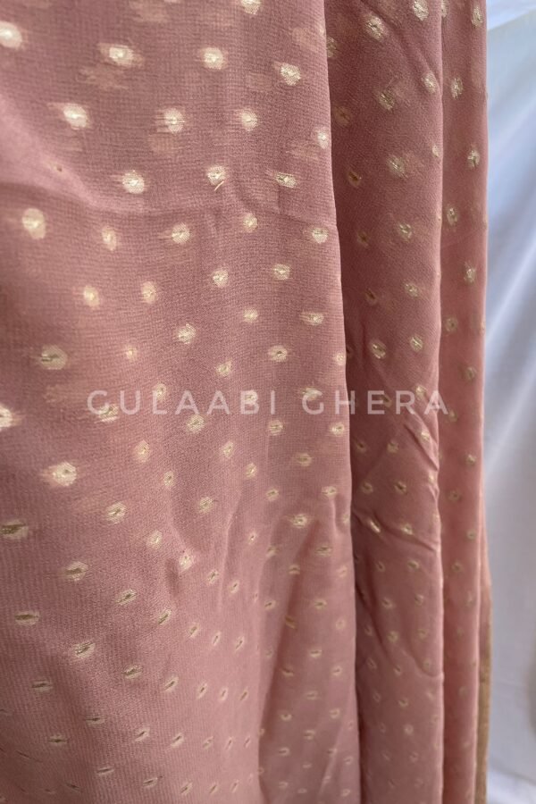 DJI_20260216_130204_876_SnapseedCopy Saumya