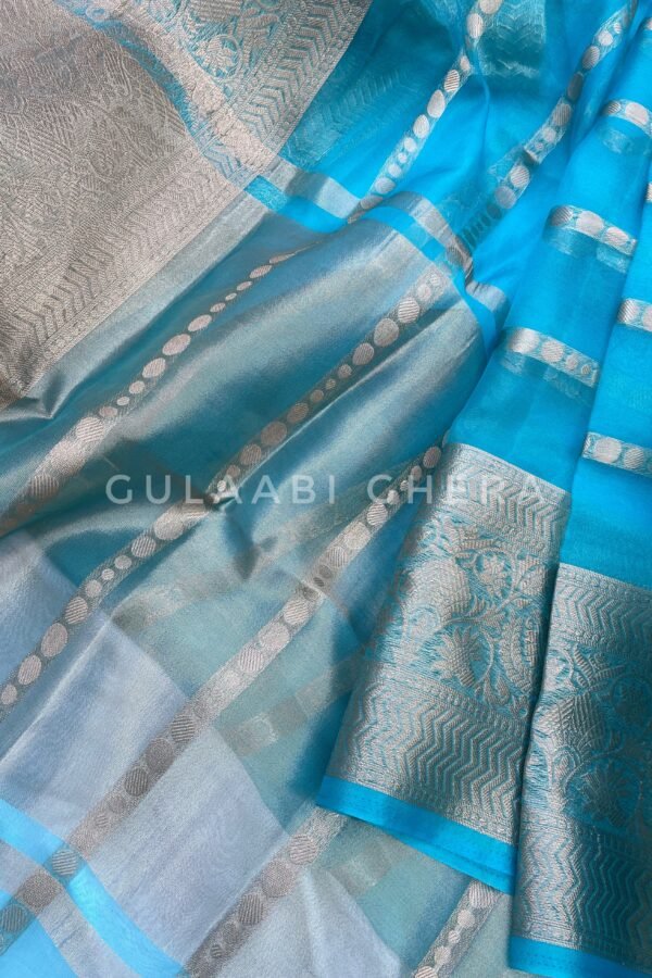 IMG_9523_SnapseedCopy Divisha